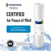Pentek Sediment Water Filter NSF Certified Polypropylene-2