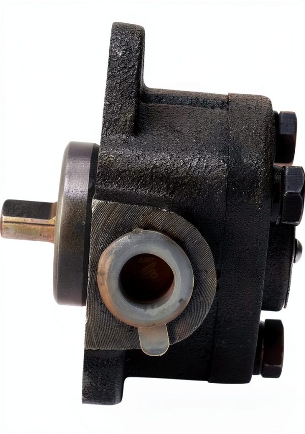 Gear Oil Pump 0.5MPa 1800r/min Cycloid Pump ViaGasaFamido-6