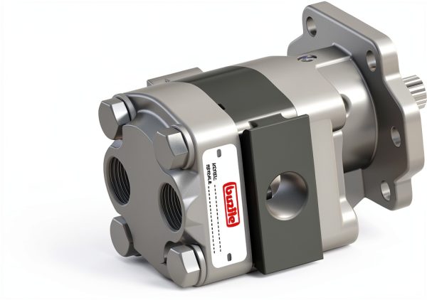 Gear Pump Motor Buzile BGM20A846QUYF10-25 Cast Iron Industrial Gear-1