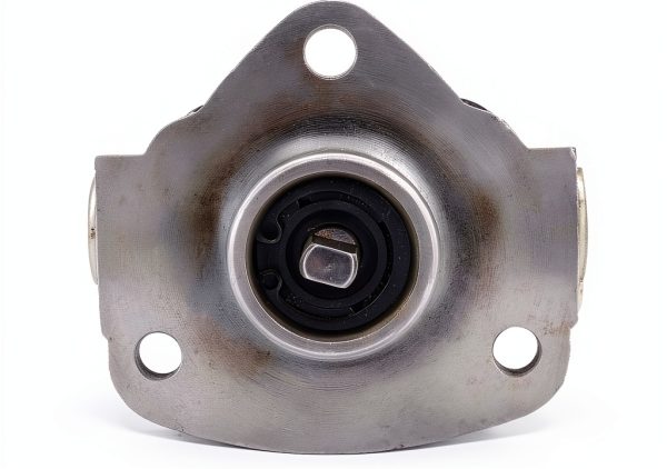 Gear Oil Pump 0.5MPa 1800r/min Cycloid Pump ViaGasaFamido-3