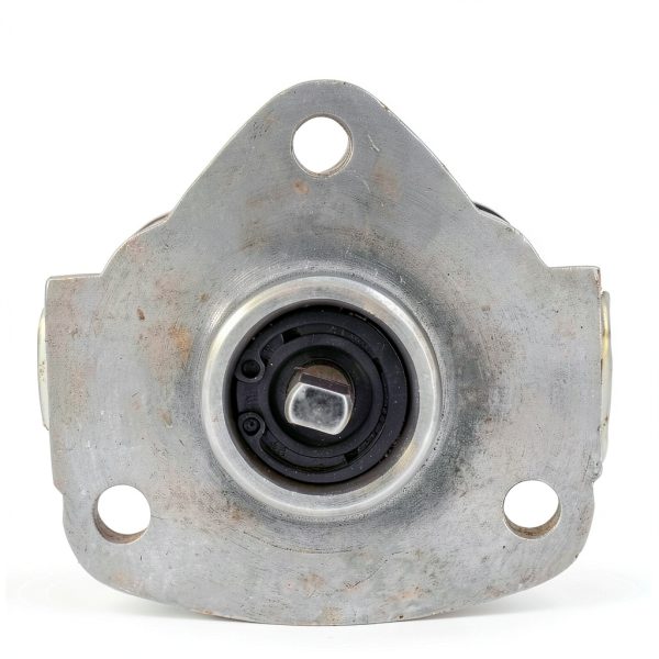 Gear Oil Pump 0.5MPa 1800r/min Cycloid Pump ViaGasaFamido-4