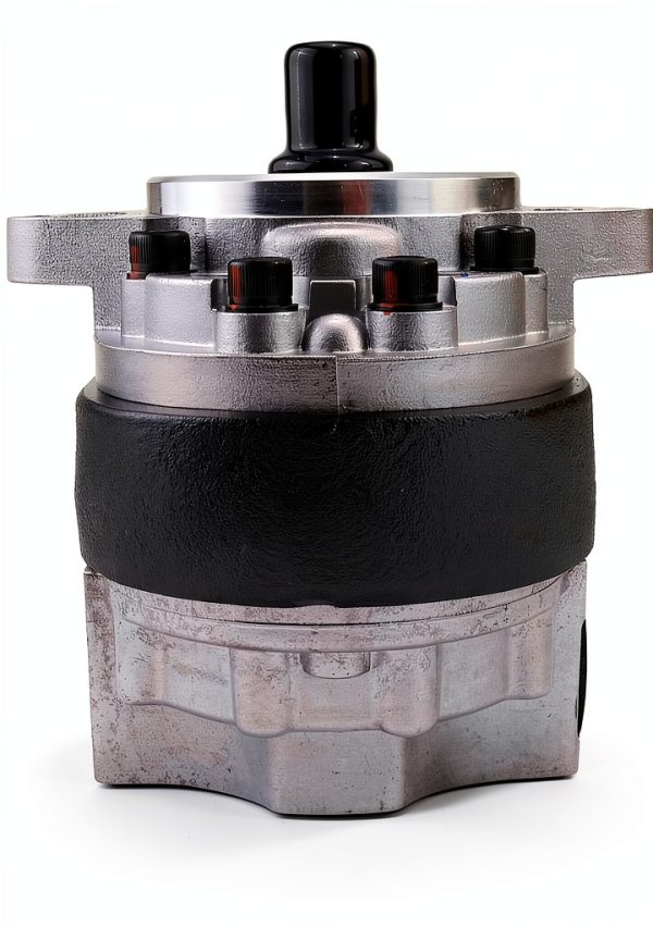 Hydraulic Gear Pump AIVWUMOT Fit D48950 for Case & John Deere-1