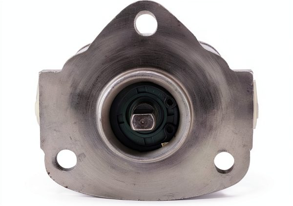 Eujgoov Lubricating Cycloid Gear Oil Pump 0.5 MPa 1800 RPM Insert Type-1